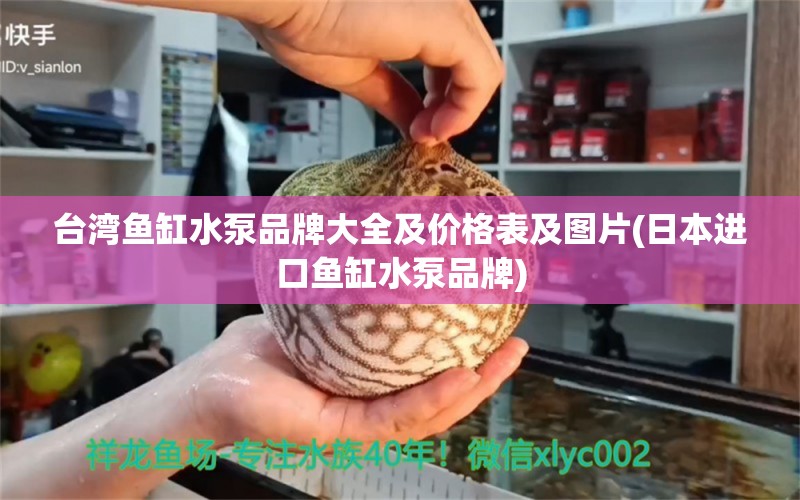 臺灣魚缸水泵品牌大全及價格表及圖片(日本進口魚缸水泵品牌) 魚缸水泵 第1張