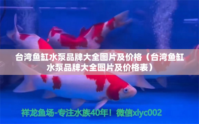 臺灣魚缸水泵品牌大全圖片及價格（臺灣魚缸水泵品牌大全圖片及價格表） 魚缸水泵