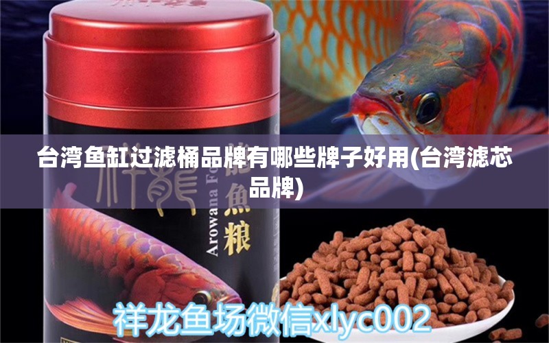 臺灣魚缸過濾桶品牌有哪些牌子好用(臺灣濾芯品牌) 紅龍專用魚糧飼料 第2張