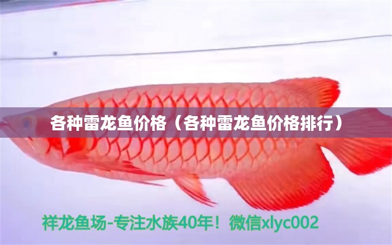 各種雷龍魚價(jià)格（各種雷龍魚價(jià)格排行）