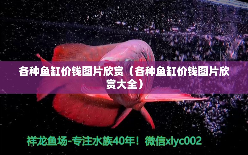 各種魚缸價錢圖片欣賞（各種魚缸價錢圖片欣賞大全） 觀賞魚市場（混養(yǎng)魚）