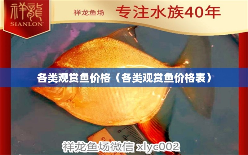 各類觀賞魚(yú)價(jià)格（各類觀賞魚(yú)價(jià)格表） 祥龍水族醫(yī)院