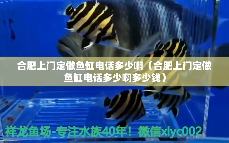 合肥上門(mén)定做魚(yú)缸電話多少?。ê戏噬祥T(mén)定做魚(yú)缸電話多少啊多少錢(qián)） 祥龍水族醫(yī)院