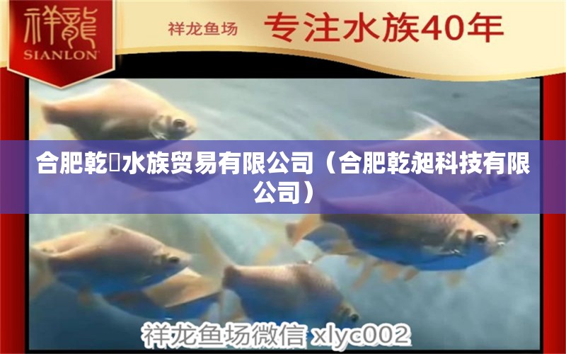 合肥乾魟水族貿(mào)易有限公司（合肥乾昶科技有限公司） 全國水族館企業(yè)名錄