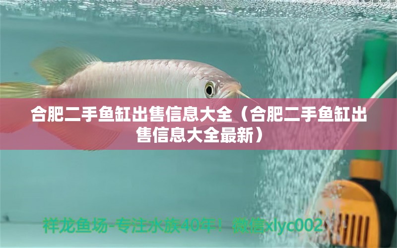 合肥二手魚缸出售信息大全（合肥二手魚缸出售信息大全最新） 祥龍水族醫(yī)院