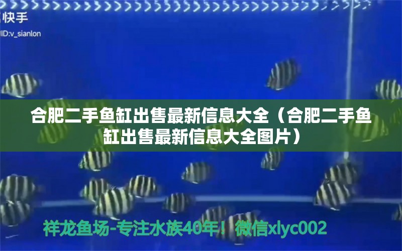 合肥二手魚缸出售最新信息大全（合肥二手魚缸出售最新信息大全圖片）