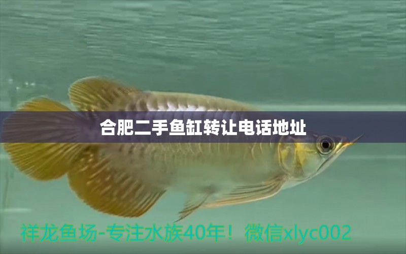 合肥二手魚缸轉(zhuǎn)讓電話地址