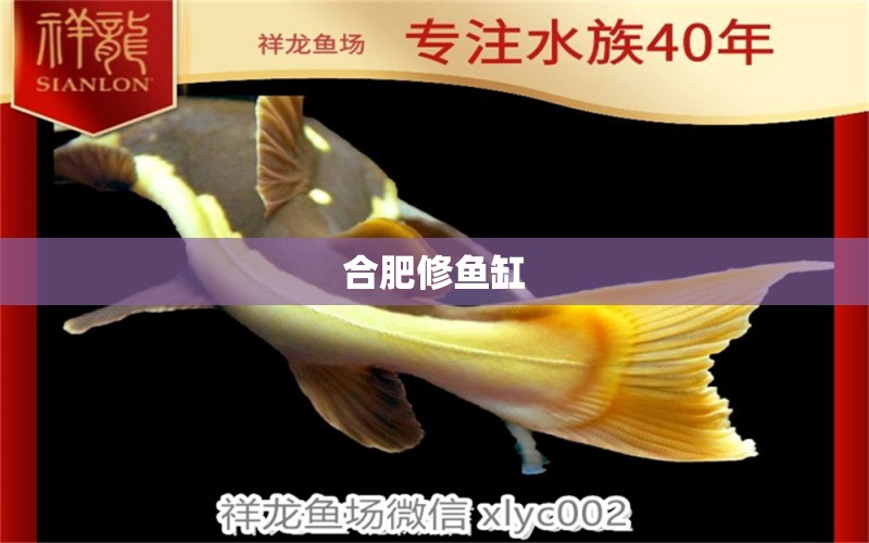 合肥修魚缸