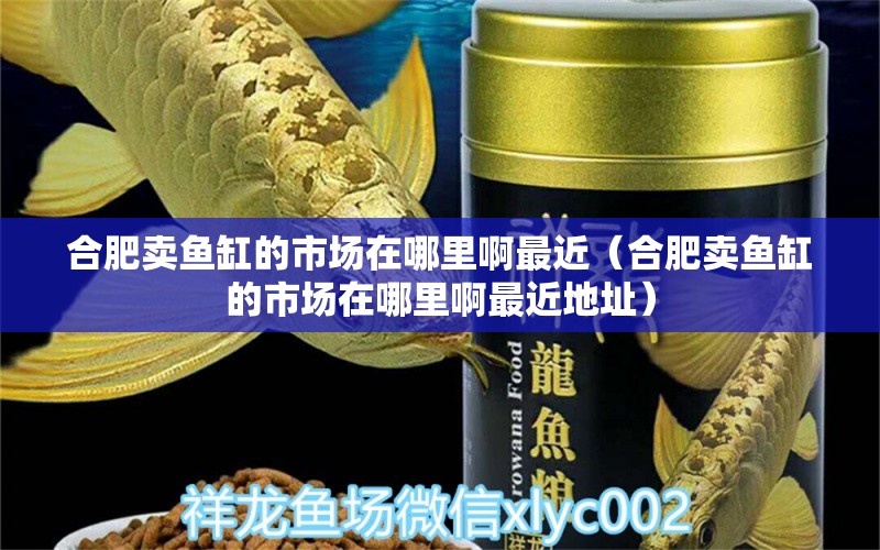 合肥賣魚缸的市場在哪里啊最近（合肥賣魚缸的市場在哪里啊最近地址） 祥龍水族醫(yī)院