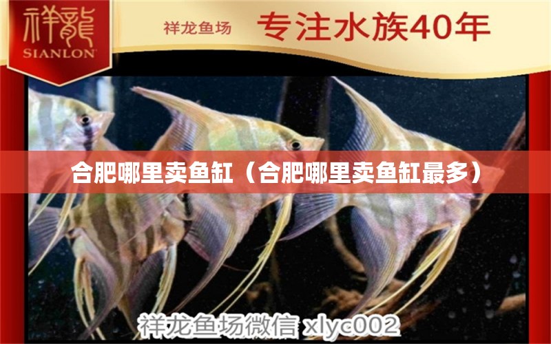 合肥哪里賣魚缸（合肥哪里賣魚缸最多）