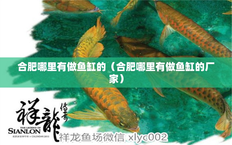 合肥哪里有做魚缸的（合肥哪里有做魚缸的廠家） 其他品牌魚缸