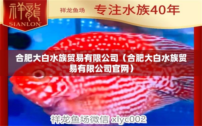 合肥大白水族貿(mào)易有限公司（合肥大白水族貿(mào)易有限公司官網(wǎng)） 全國水族館企業(yè)名錄