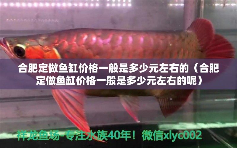 合肥定做魚缸價格一般是多少元左右的（合肥定做魚缸價格一般是多少元左右的呢） 魚缸定做