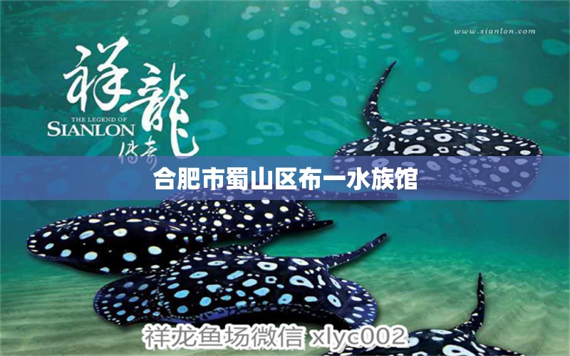 合肥市蜀山區(qū)布一水族館