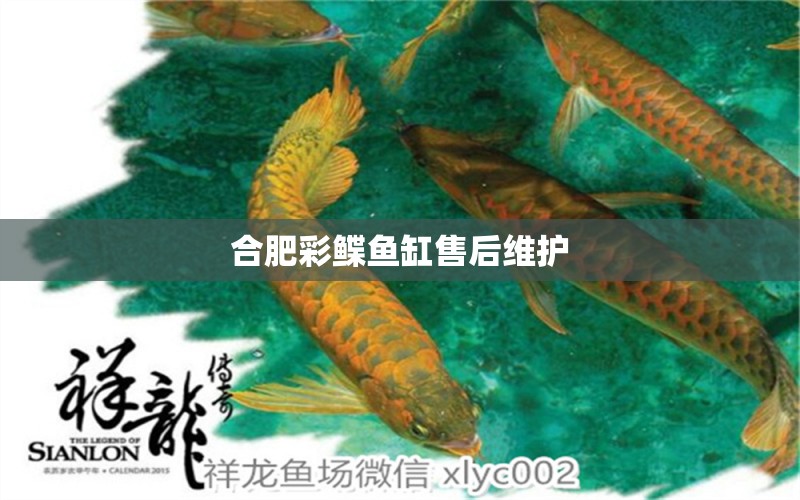 合肥彩鰈魚缸售后維護(hù) 彩鰈魚缸（彩蝶魚缸）