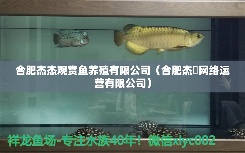 合肥杰杰觀賞魚養(yǎng)殖有限公司（合肥杰莀網(wǎng)絡(luò)運營有限公司）