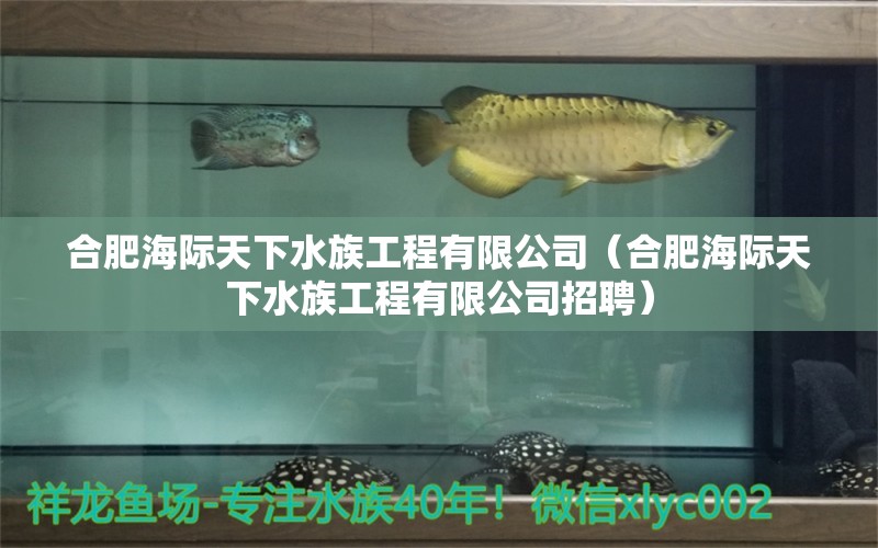 合肥海際天下水族工程有限公司（合肥海際天下水族工程有限公司招聘）