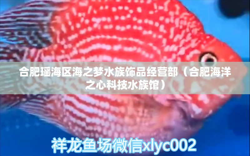 合肥瑤海區(qū)海之夢(mèng)水族飾品經(jīng)營(yíng)部（合肥海洋之心科技水族館） 全國(guó)水族館企業(yè)名錄