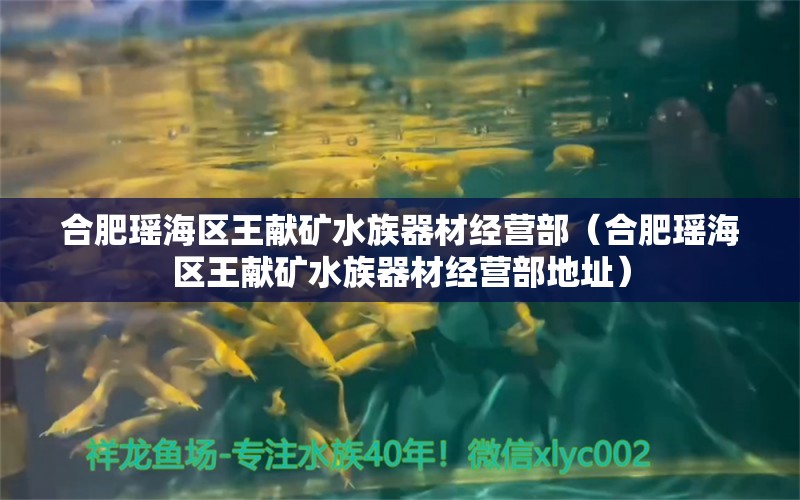 合肥瑤海區(qū)王獻(xiàn)礦水族器材經(jīng)營部（合肥瑤海區(qū)王獻(xiàn)礦水族器材經(jīng)營部地址）