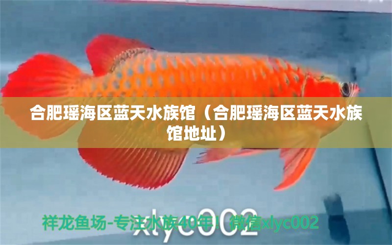 合肥瑤海區(qū)藍(lán)天水族館（合肥瑤海區(qū)藍(lán)天水族館地址） 全國水族館企業(yè)名錄