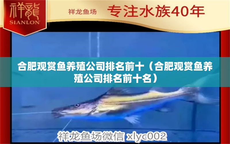 合肥觀賞魚養(yǎng)殖公司排名前十（合肥觀賞魚養(yǎng)殖公司排名前十名）