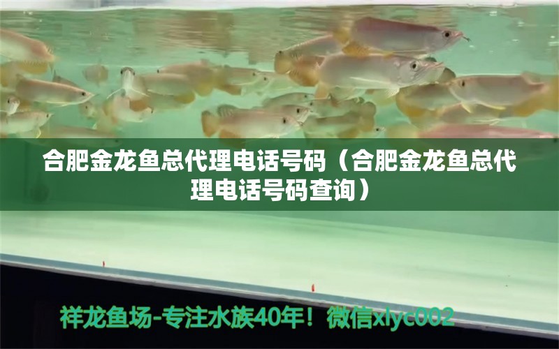 合肥金龍魚總代理電話號(hào)碼（合肥金龍魚總代理電話號(hào)碼查詢）