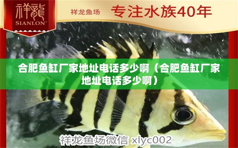 合肥魚缸廠家地址電話多少?。ê戏属~缸廠家地址電話多少?。? title=