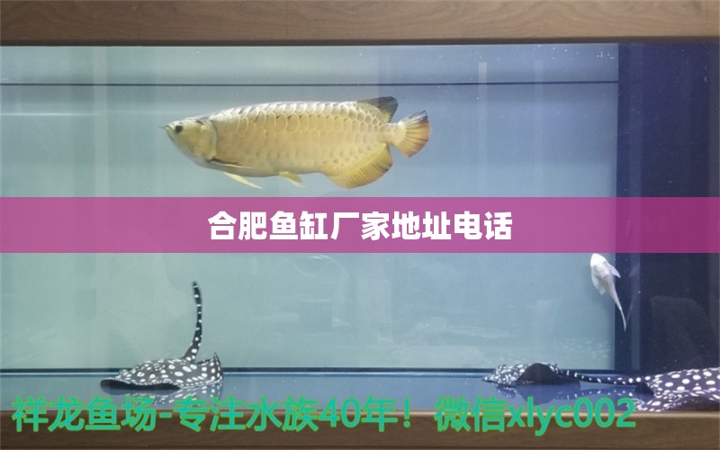 合肥魚缸廠家地址電話