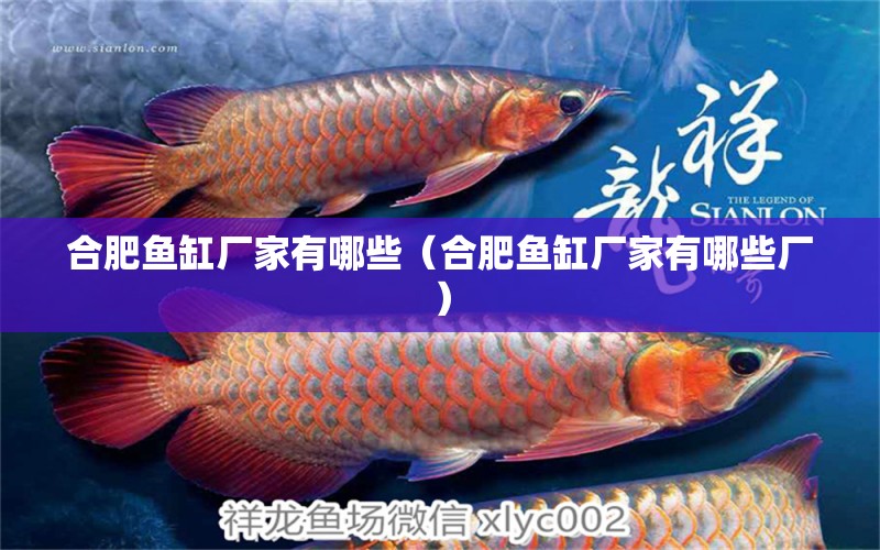 合肥魚缸廠家有哪些（合肥魚缸廠家有哪些廠）