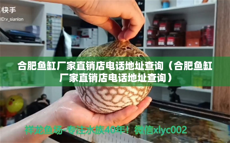 合肥魚缸廠家直銷店電話地址查詢（合肥魚缸廠家直銷店電話地址查詢）