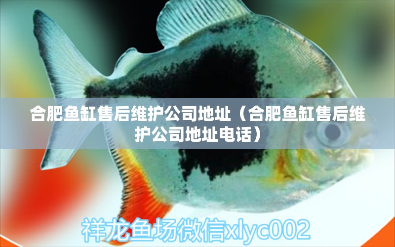 合肥魚缸售后維護公司地址（合肥魚缸售后維護公司地址電話） 其他品牌魚缸