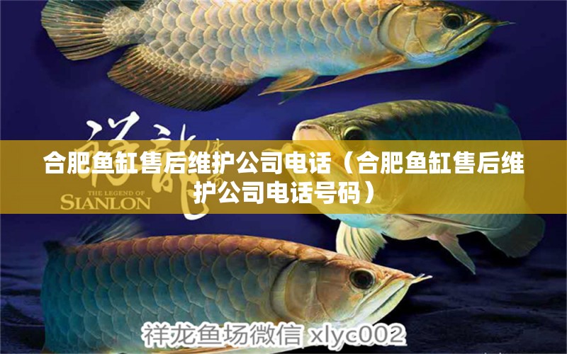 合肥魚缸售后維護(hù)公司電話（合肥魚缸售后維護(hù)公司電話號(hào)碼）