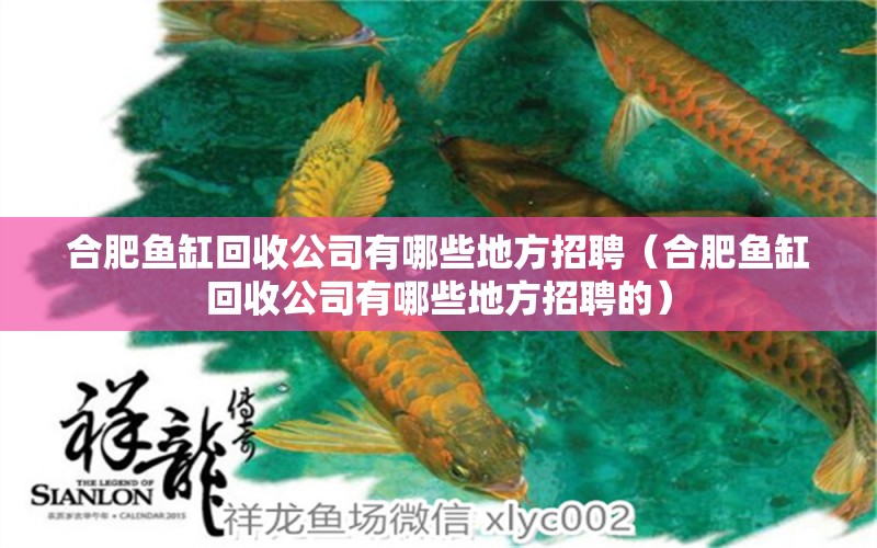 合肥魚缸回收公司有哪些地方招聘（合肥魚缸回收公司有哪些地方招聘的）