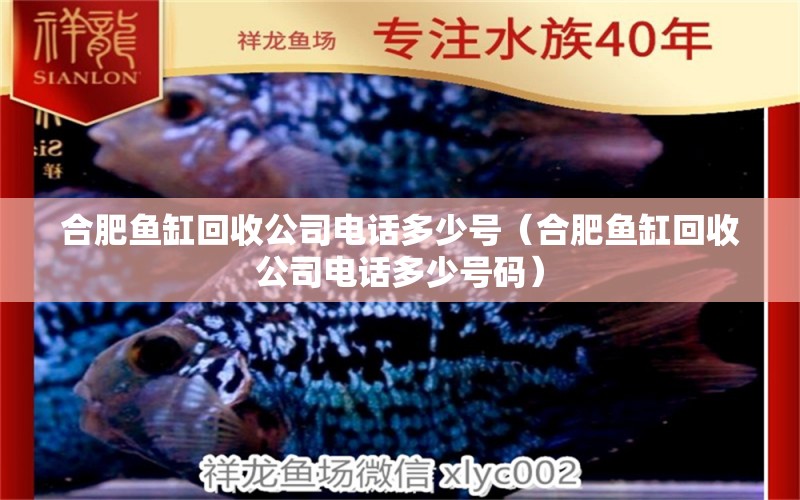 合肥魚缸回收公司電話多少號(hào)（合肥魚缸回收公司電話多少號(hào)碼）