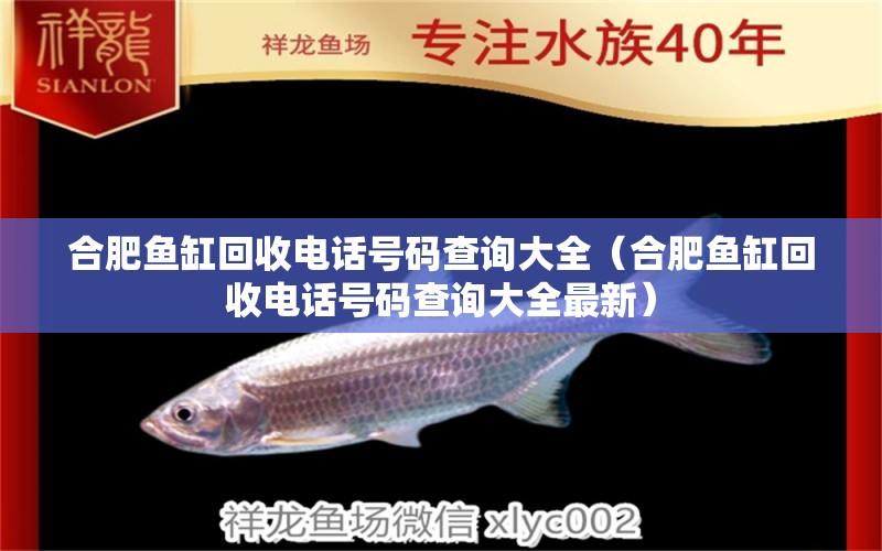 合肥魚缸回收電話號(hào)碼查詢大全（合肥魚缸回收電話號(hào)碼查詢大全最新） 觀賞魚水族批發(fā)市場(chǎng)