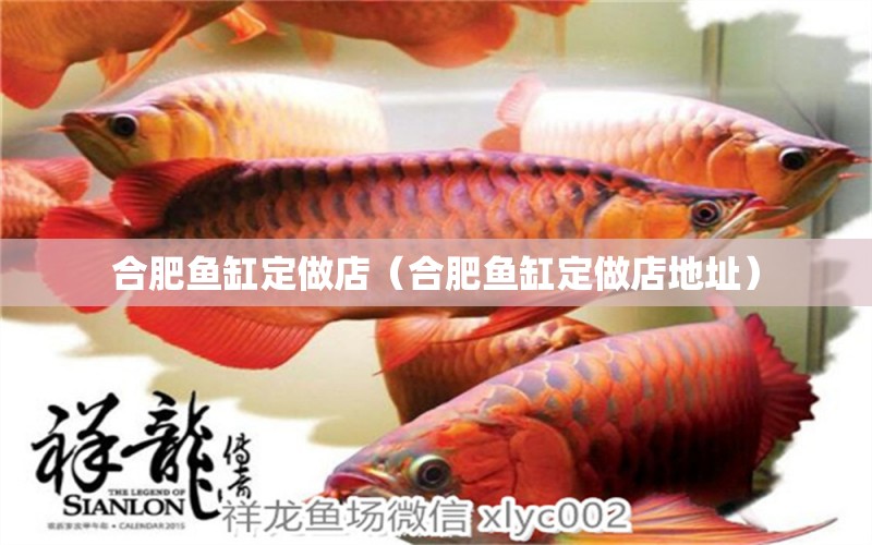 合肥魚缸定做店（合肥魚缸定做店地址） 其他品牌魚缸