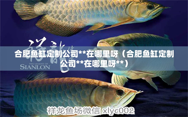 合肥魚(yú)缸定制公司**在哪里呀（合肥魚(yú)缸定制公司**在哪里呀**）