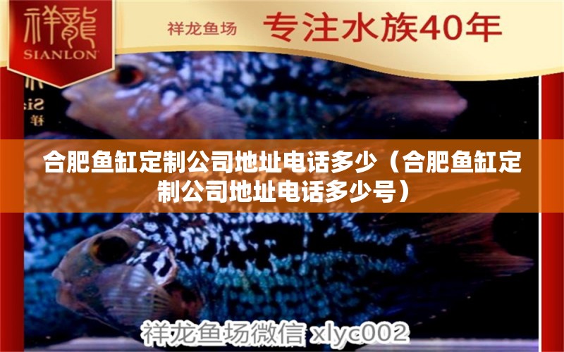 合肥魚(yú)缸定制公司地址電話多少（合肥魚(yú)缸定制公司地址電話多少號(hào)）