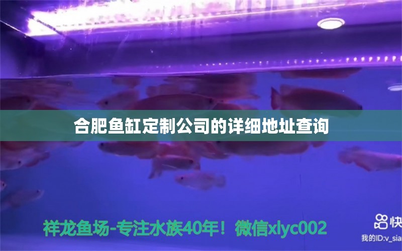 合肥魚缸定制公司的詳細(xì)地址查詢 白寫錦鯉魚