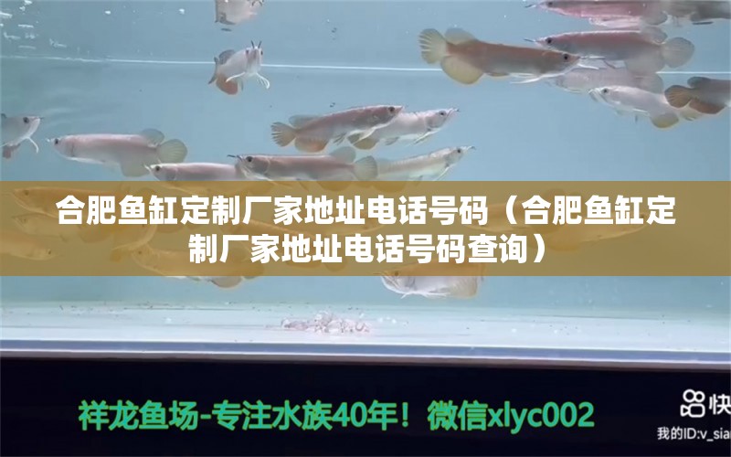 合肥魚缸定制廠家地址電話號碼（合肥魚缸定制廠家地址電話號碼查詢）