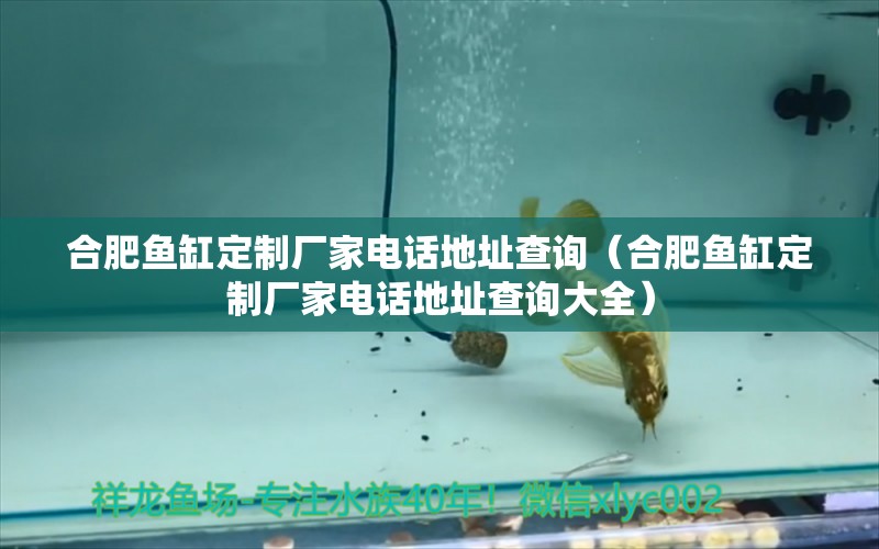 合肥魚缸定制廠家電話地址查詢（合肥魚缸定制廠家電話地址查詢大全）