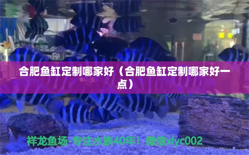 合肥魚缸定制哪家好（合肥魚缸定制哪家好一點） 其他品牌魚缸