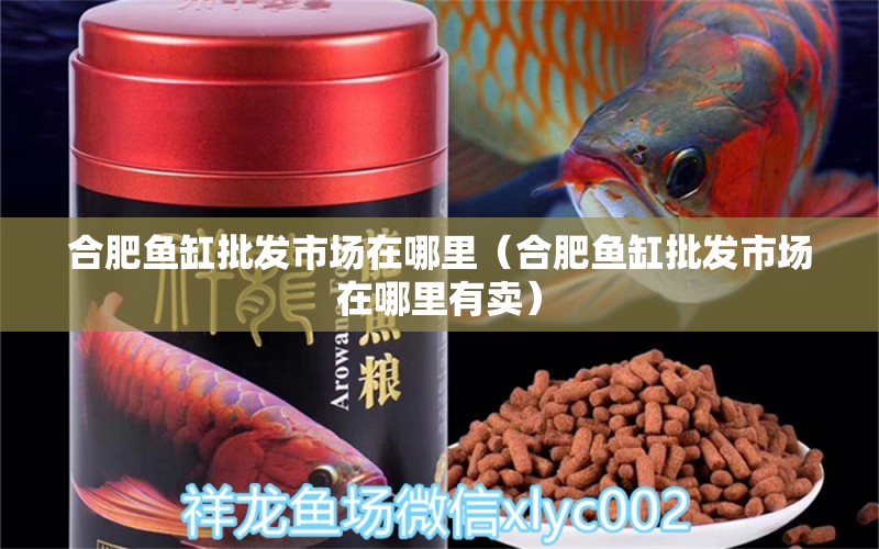 合肥魚缸批發(fā)市場在哪里（合肥魚缸批發(fā)市場在哪里有賣）