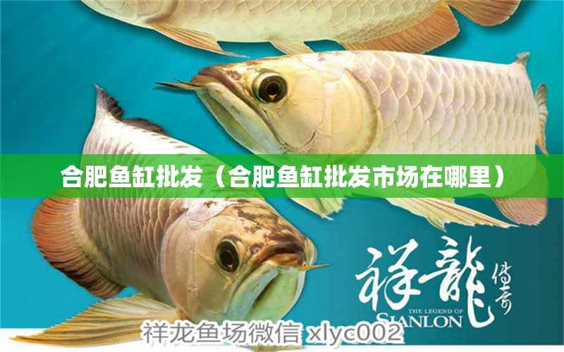 合肥魚缸批發(fā)（合肥魚缸批發(fā)市場在哪里） 其他品牌魚缸