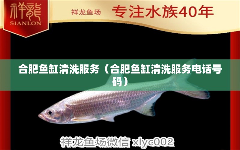 合肥魚缸清洗服務(wù)（合肥魚缸清洗服務(wù)電話號(hào)碼）