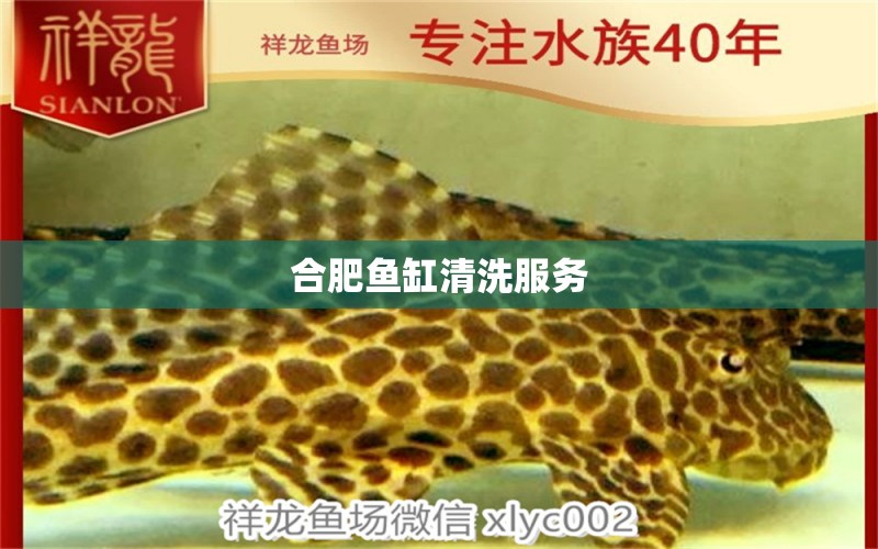 合肥魚缸清洗服務(wù) 其他品牌魚缸