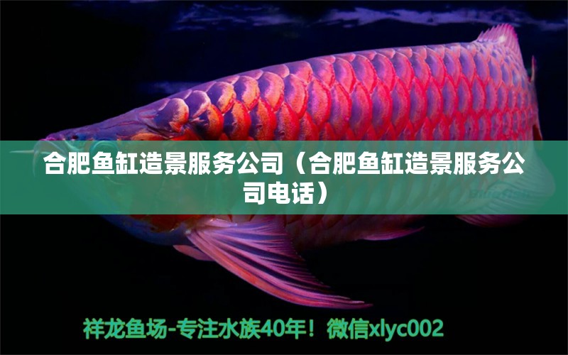 合肥魚(yú)缸造景服務(wù)公司（合肥魚(yú)缸造景服務(wù)公司電話）