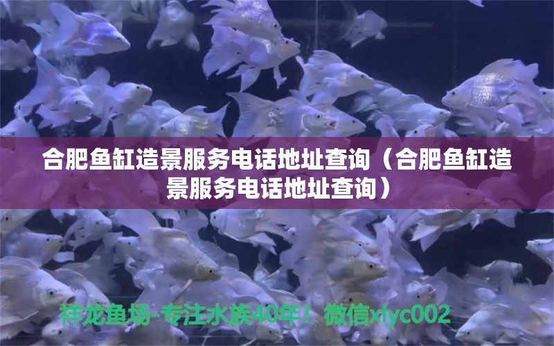 合肥魚缸造景服務(wù)電話地址查詢（合肥魚缸造景服務(wù)電話地址查詢） 月光鴨嘴魚苗