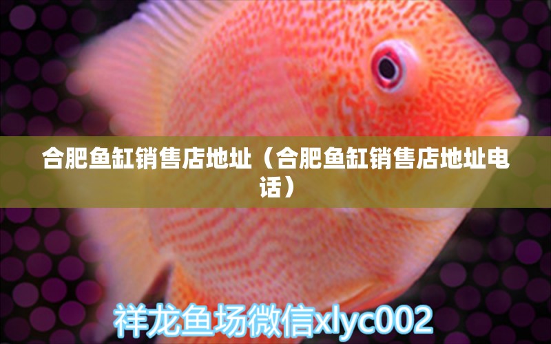 合肥魚(yú)缸銷(xiāo)售店地址（合肥魚(yú)缸銷(xiāo)售店地址電話） 其他品牌魚(yú)缸