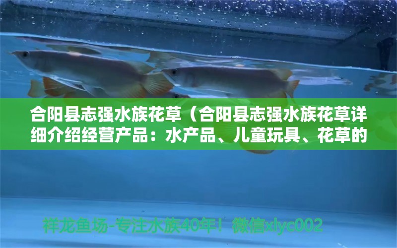 合陽(yáng)縣志強(qiáng)水族花草（合陽(yáng)縣志強(qiáng)水族花草詳細(xì)介紹經(jīng)營(yíng)產(chǎn)品：水產(chǎn)品、兒童玩具、花草的銷(xiāo)售） 全國(guó)觀賞魚(yú)市場(chǎng) 第2張